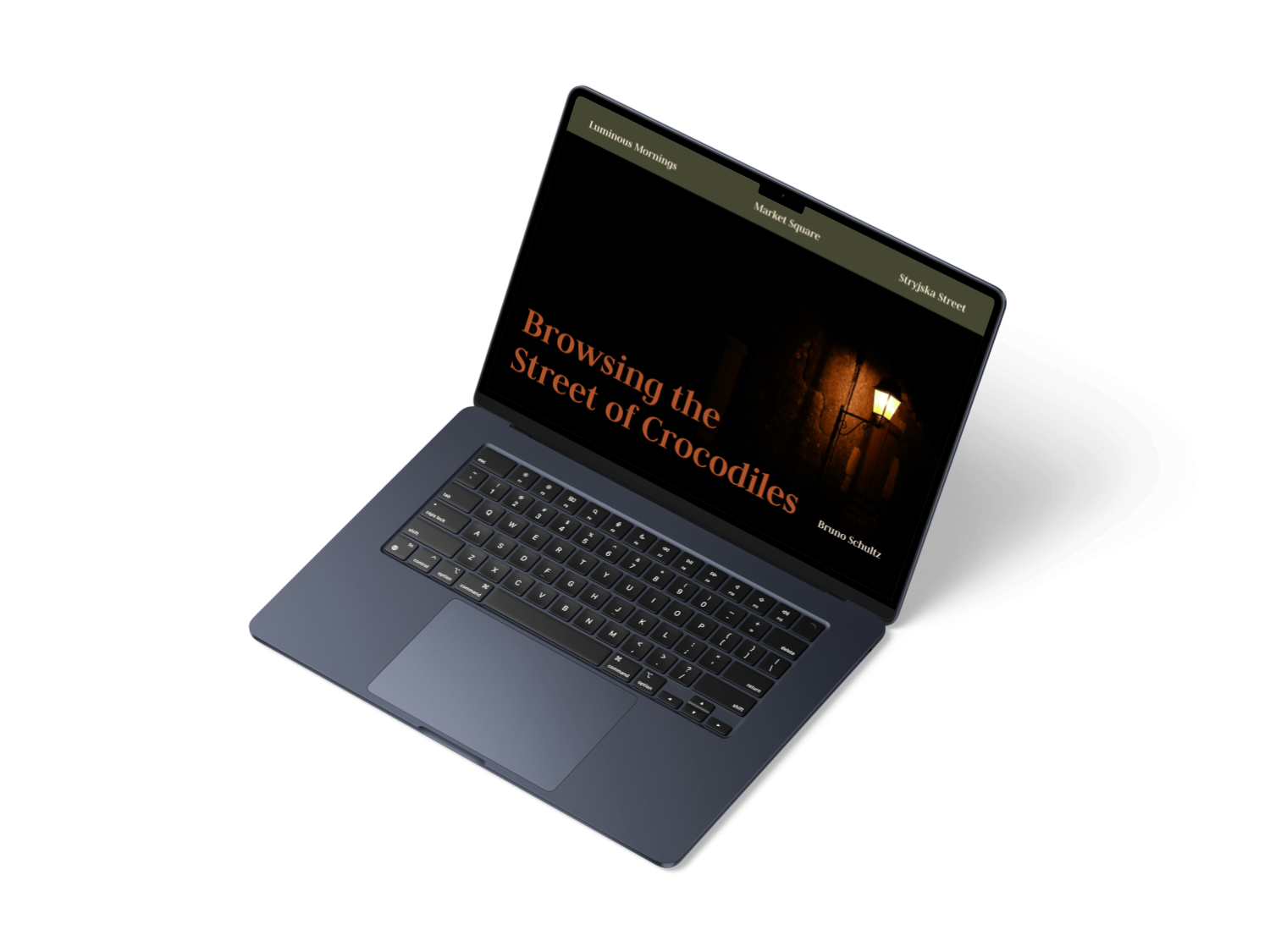 Street of Crocodiles project